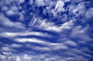 Images Dated 7th March 2005: USA, Washington State, Olympic Peninsula, Cumulus cloud formations