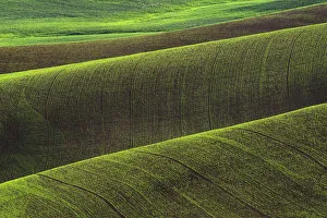 Images Dated 16th September 2018: USA, Washington State, Palouse. Rolling wheat field