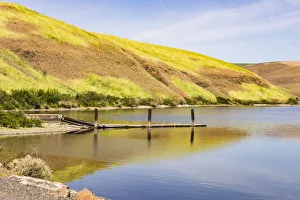 Painterly Prints: USA, Washington State. Palouse