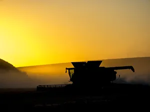 Palouse Prints: USA, Washington State, Palouse. Combine harvesting at sunset