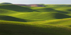 Rolling Prints: USA, Washington State, Palouse. Rolling hills of wheat fields