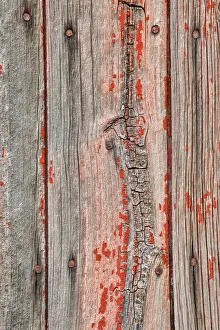 Disrepair Prints: USA, Washington State, Palouse. Close-up of knot hole in abandoned barn in Lacrosse