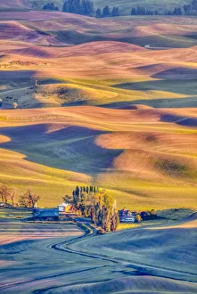 Silo Prints: USA, Washington State, Palouse. Steptoe Village and farmland at sunset