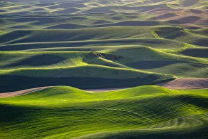 USA, Washington State, Palouse