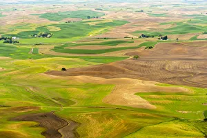 Images Dated 11th June 2021: USA, Washington State, Palouse