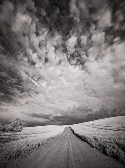Rolling Hill Prints: USA, Washington State, Palouse. Backcountry road through wheat field and clouds