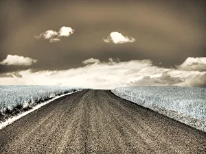 USA, Washington State, Palouse. Country backroad through spring crops