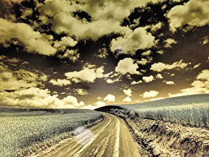 Images Dated 13th September 2021: USA, Washington State, Palouse. Country backroad through spring crops