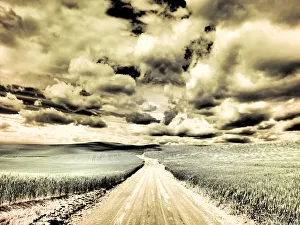 Images Dated 13th September 2021: USA, Washington State, Palouse. Country backroad through spring crops