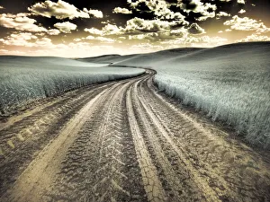 Images Dated 13th September 2021: USA, Washington State, Palouse. Country backroad through spring crops