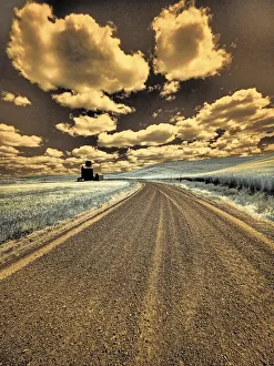Images Dated 13th September 2021: USA, Washington State, Palouse. Country backroad through spring crops