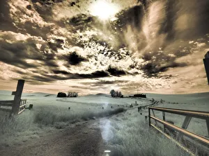 USA, Washington State, Palouse. Backcountry road through wheat field and clouds