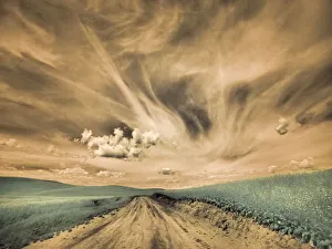 USA, Washington State, Palouse. Backcountry road through canola field and clouds
