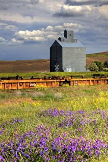 Silo Prints: USA, Washington State, Palouse