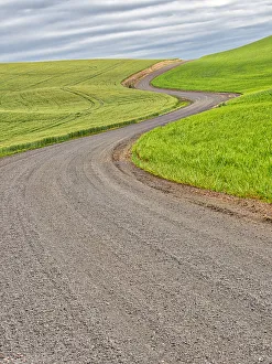 USA, Washington State, Palouse. Backcountry road leading through winter and spring wheat fields