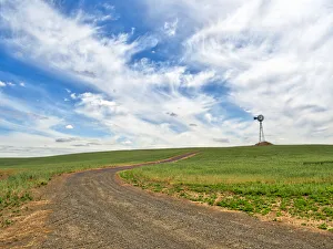 Abundant Prints: USA, Washington State, Palouse. Field road leading to weather vane