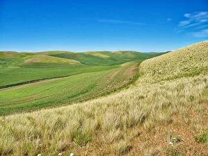 USA, Washington State, Palouse. Crop lines and patterns
