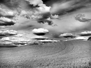 USA, Washington State, Palouse. Infrared of rolling hills of crops and clouds