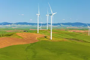 Overview Prints: USA, Washington State, Palouse. Oakesdale. White wind turbines, windmills