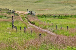Palouse Prints: USA, Washington State, Palouse. Two lane dirt road surrounded by fence