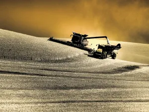 Danita Delimont New Images May 2025 Prints: USA, Washington State, Palouse