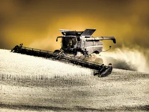 Danita Delimont New Images May 2025 Prints: USA, Washington State, Palouse