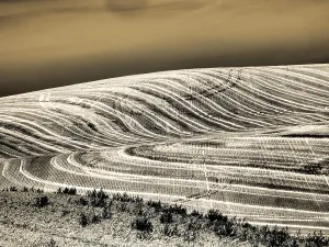 Danita Delimont New Images May 2025 Prints: USA, Washington State, Palouse. Infrared of field patterns