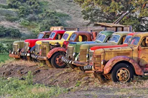 Place Prints: USA, Washington State, Palouse. Antique trucks
