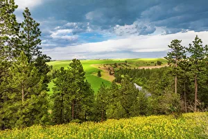 Images Dated 5th March 2023: USA, Washington State, Palouse, Colfax. River Valley