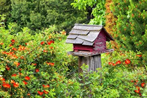 Multicolor Prints: USA, Washington State, Palouse, Colfax. Red birdhouse sitting on a fence