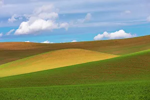Wheat Prints: USA, Washington State, Palouse, Colfax. Rolling wheat fields