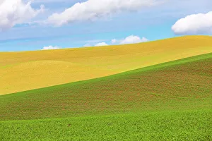 Wheat Prints: USA, Washington State, Palouse, Colfax. Rolling wheat fields
