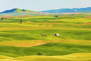 Overview Prints: USA, Washington State, Palouse, Colfax