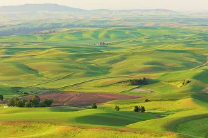 Overview Prints: USA, Washington State, Palouse, Colfax. View from Steptoe Butte