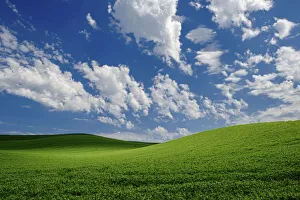 Images Dated 11th June 2021: USA, Washington State, Palouse farmland