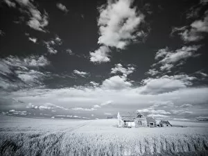 2022-08-19 Danita Delimont Dist 2325 images Collection: USA, Washington State, Palouse. Infrared of old homestead with special clouds