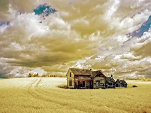 Infrared Prints: USA, Washington State, Palouse. Infrared of old farm