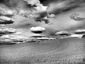 USA, Washington State, Palouse. Infrared of rolling hills of crops and clouds