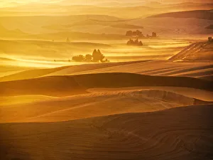 Palouse Prints: USA, Washington State, Palouse Region. Sunset over rolling hills with dust in the air