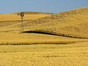 USA, Washington State, Palouse Region. Windmill in fields during harvest