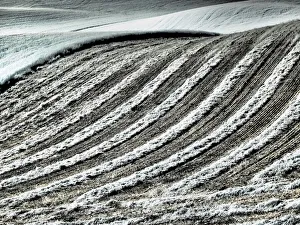USA, Washington State, Palouse region, Harvest cut lines in Field