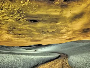USA, Washington State, Palouse region, winding backcountry road through wheat fields