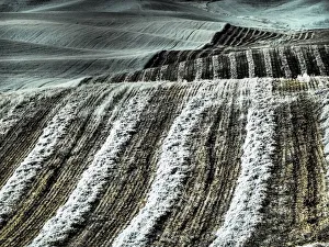 USA, Washington State, Palouse region, Harvest cut lines in Field