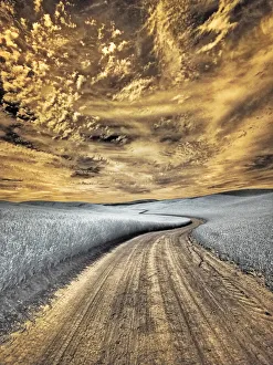 USA, Washington State, Palouse region, winding backcountry road through wheat fields