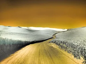 USA, Washington State, Palouse region, Country backroad through wheat fields