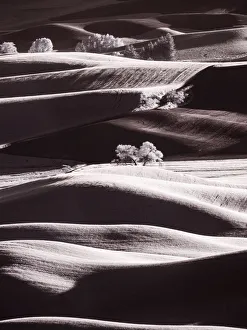 USA, Washington State, Palouse region, Rolling hills at Sunset