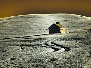 Images Dated 13th September 2021: USA, Washington State, Palouse region, Old barn in field of wheat