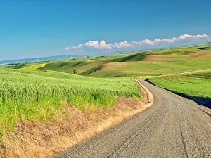 New Images March 2024 Prints: USA, Washington State, Palouse Region. Country backroad