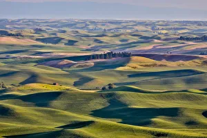 Landscape-Scenic Prints: USA, Washington State, Palouse. View from Steptoe Butte