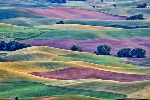 Images Dated 24th August 2019: USA, Washington State, Palouse. View from Steptoe Butte